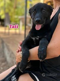 Tati, 3 mesi