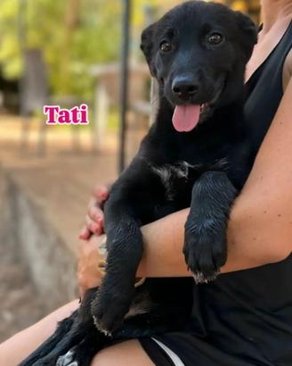 Tati, 3 mesi