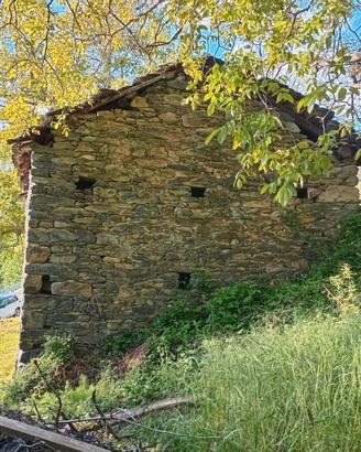 Rustico con ampio terreno