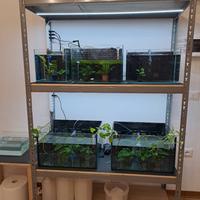 Acquari varie misure