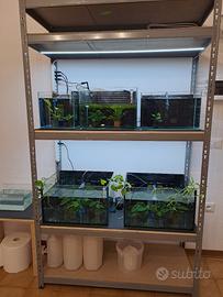 Acquari varie misure