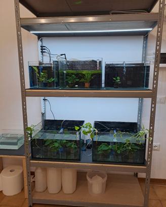 Acquari varie misure