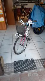 Torpado kelly girl bicicletta cerchi 24