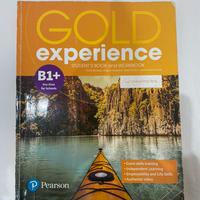 Gold Experience B1+