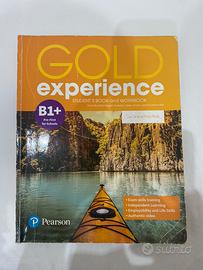 Gold Experience B1+