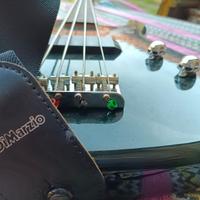 Chitarra basso