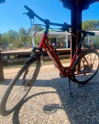 Bicicletta muscolare Corratec usata