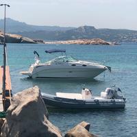 Sea Ray 255 Sundancer
