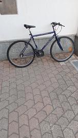 bici uomo