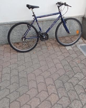 bici uomo