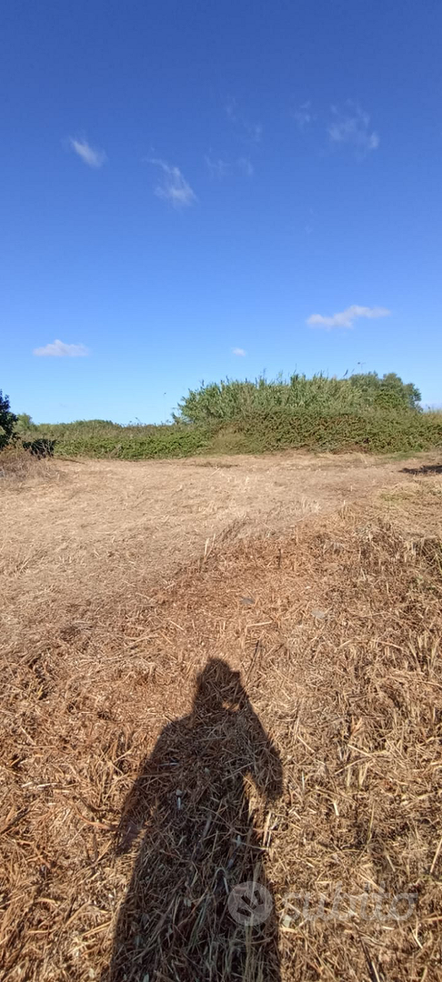 Terreno agricolo - Vista 2