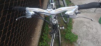 bicicletta sportiva
