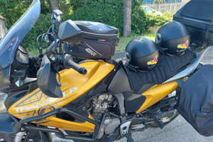 Honda Transalp 700 anno 2008