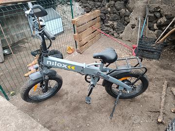 biciclette elettricha 