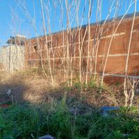 Terreno Edificabile - Canicattini Bagni