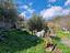 Immagine 13