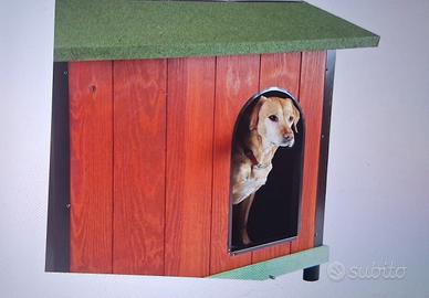 casetta per  cani  coibentata con riscaldamento 