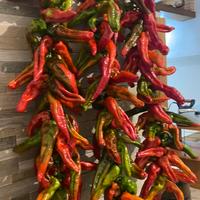 Peperoni 🌶️ secchi