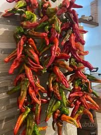 Peperoni 🌶️ secchi