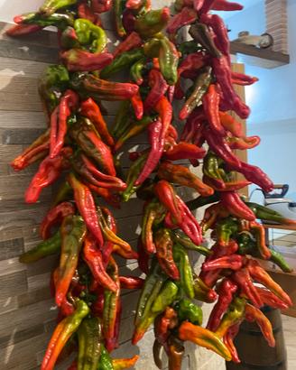 Peperoni 🌶️ secchi