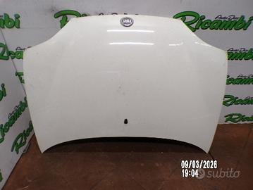 COFANO CON CERNIERE PER FIAT 600 ANNO 2000