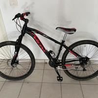 Mtb Vicini