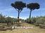 Immagine 13