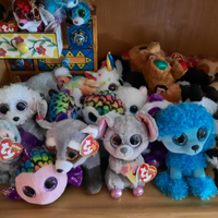 Collezione pelouches ty beans