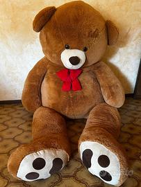 Orso gigante
