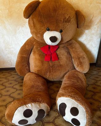 Orso gigante
