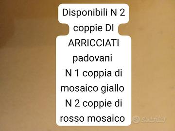 Canarini coppie