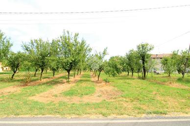 TER. AGRICOLO A BRESCELLO