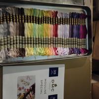 2 scatole Mouliné Special DMC