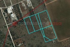 Terreno Agricolo Manduria [1108VCG]