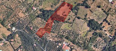 Terreno agricolo in Contrada Lasi