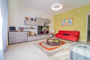 3 LOCALI A OLBIA