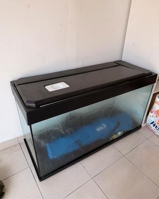 Acquario 180 litri