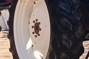 Cerchi e gomme