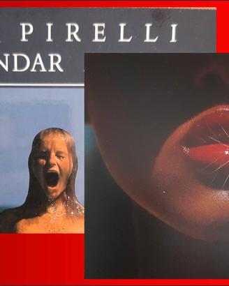 The Pirelli Calendar / 2002 - 2003 - 2005