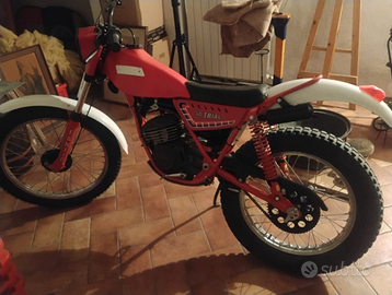 Fantic 50 trial