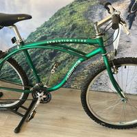 bici MTB California Evolution 1100