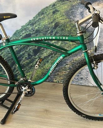 bici MTB California Evolution 1100