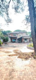 Villa singola Nicolosi