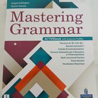 mastering grammar 