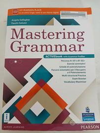 mastering grammar 