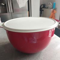 Ciotola tupperware 10 litri