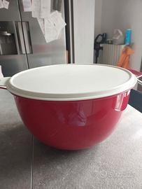Ciotola tupperware 10 litri