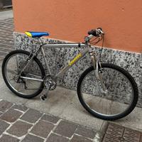 Bici Carraro