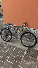 Bici Carraro