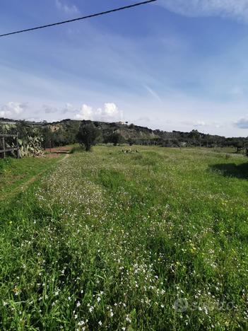 Roccelletta di borgia - v. togliatti